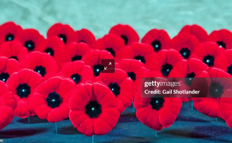 Roil Recollection: Oil Kings History on November 11