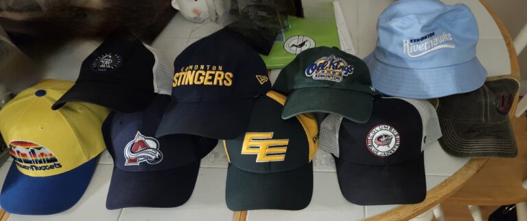 Stingers, Riverhawks, Team Canada